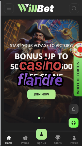 Casino Flandre - Belgium's Casino Region Guide-casinoorder.vip